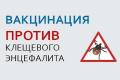 153d3e91ee47abb97de9ffd608a283c3.jpg